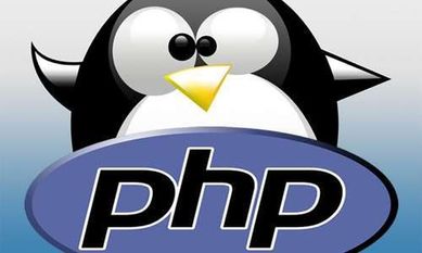 Programowanie BASH, PHP, python skrypty, administracja Linux, devops