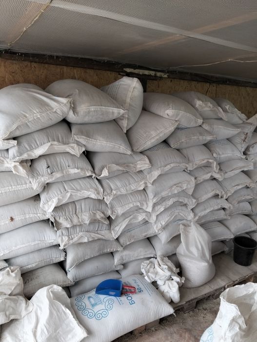 Насіння соняшнику по 25.кг. в мішку