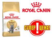 Royal Canin (Роял Канин) British Shorthair 10кг- корм для британцев