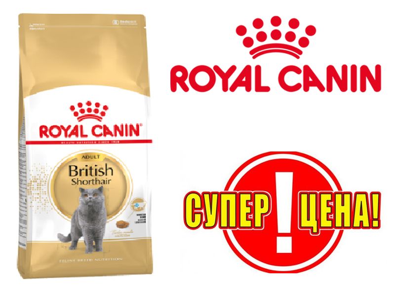 Royal Canin (Роял Канин) British Shorthair 10кг- корм для британцев