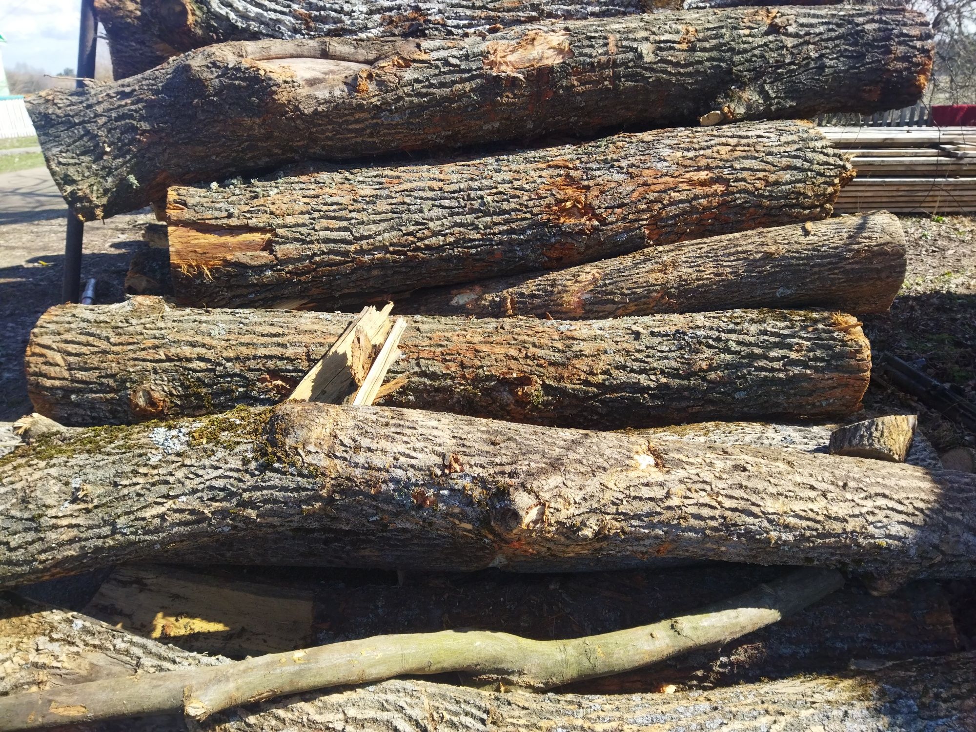 Продам дрова рубані різних порід (опт)
