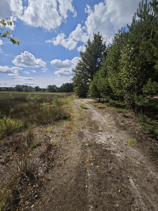 Działka rolno budowlana przy lesie Roździn