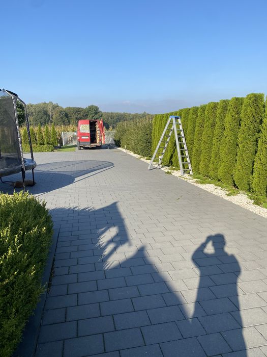 Usługi ogrodnicze glebogryzarka seperacyjna