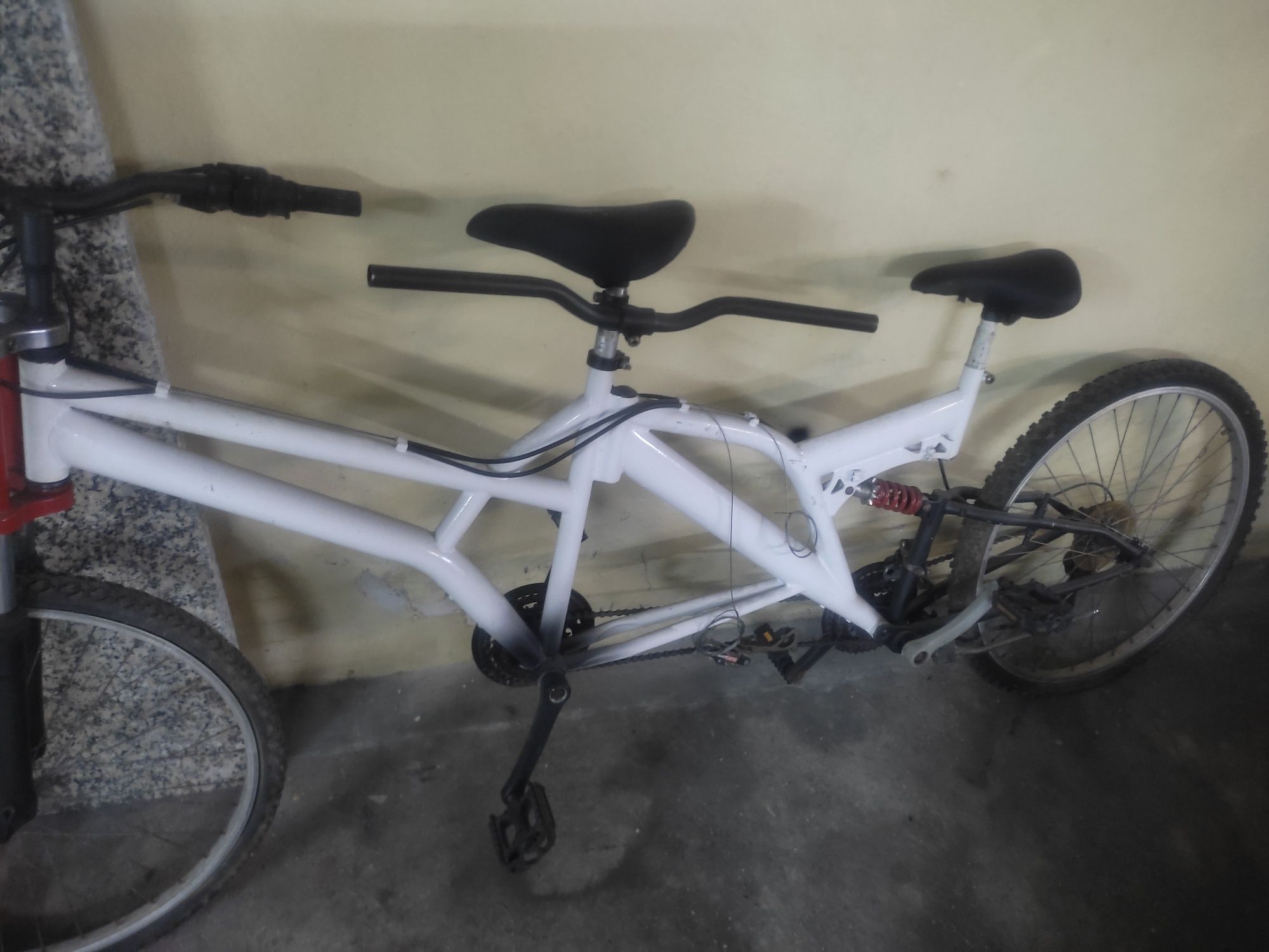 Bicicleta de 2 lugares