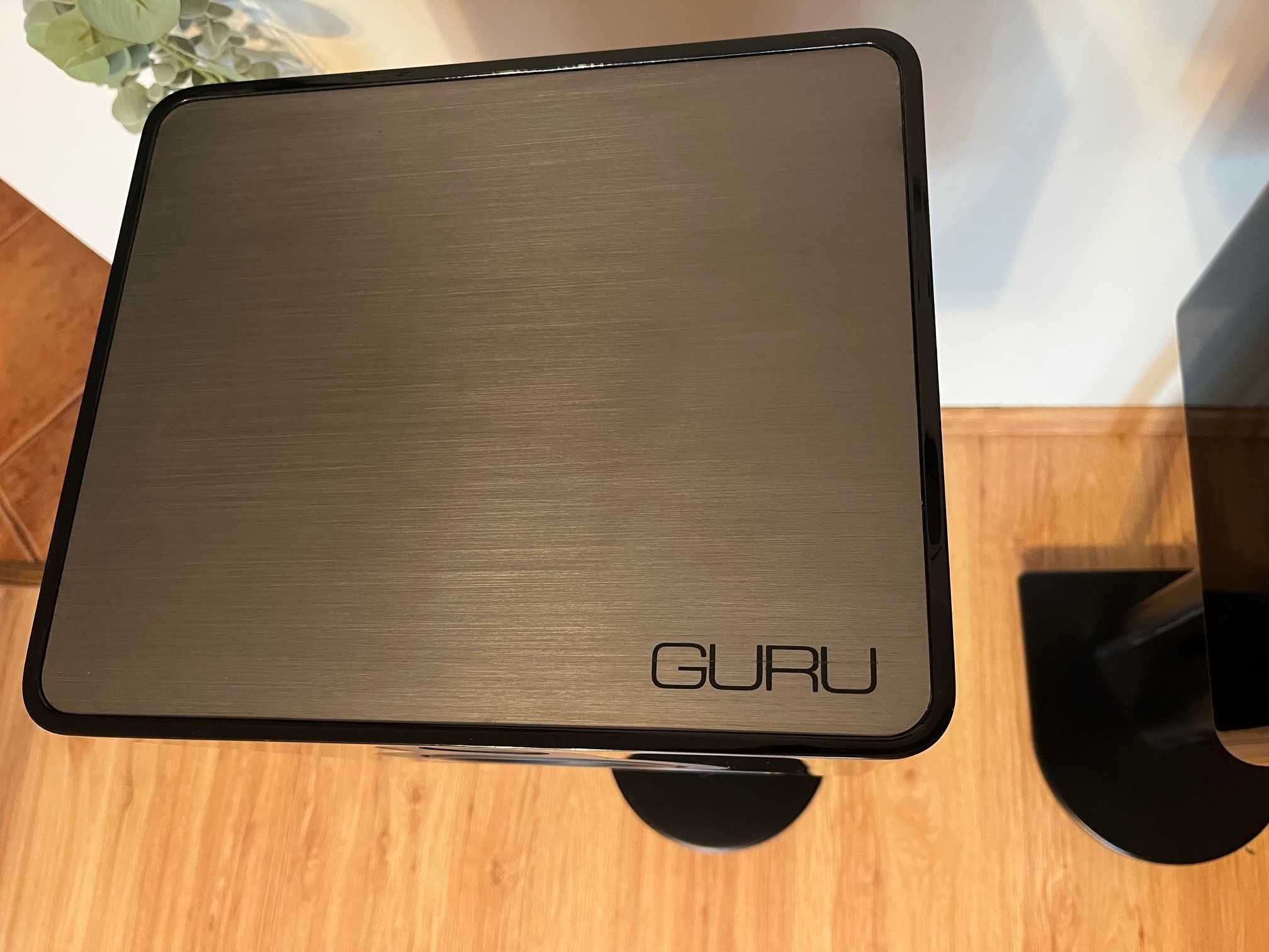 Kolumny podstawkowe Guru Q10 – Hi-End z potężnym brzmieniem!