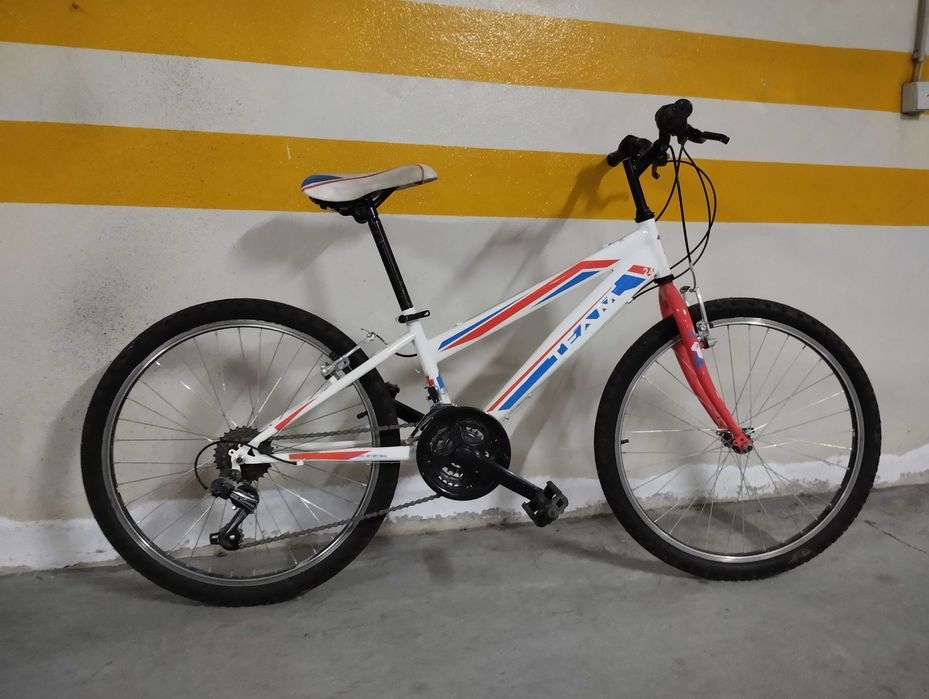 Bicicleta roda 24