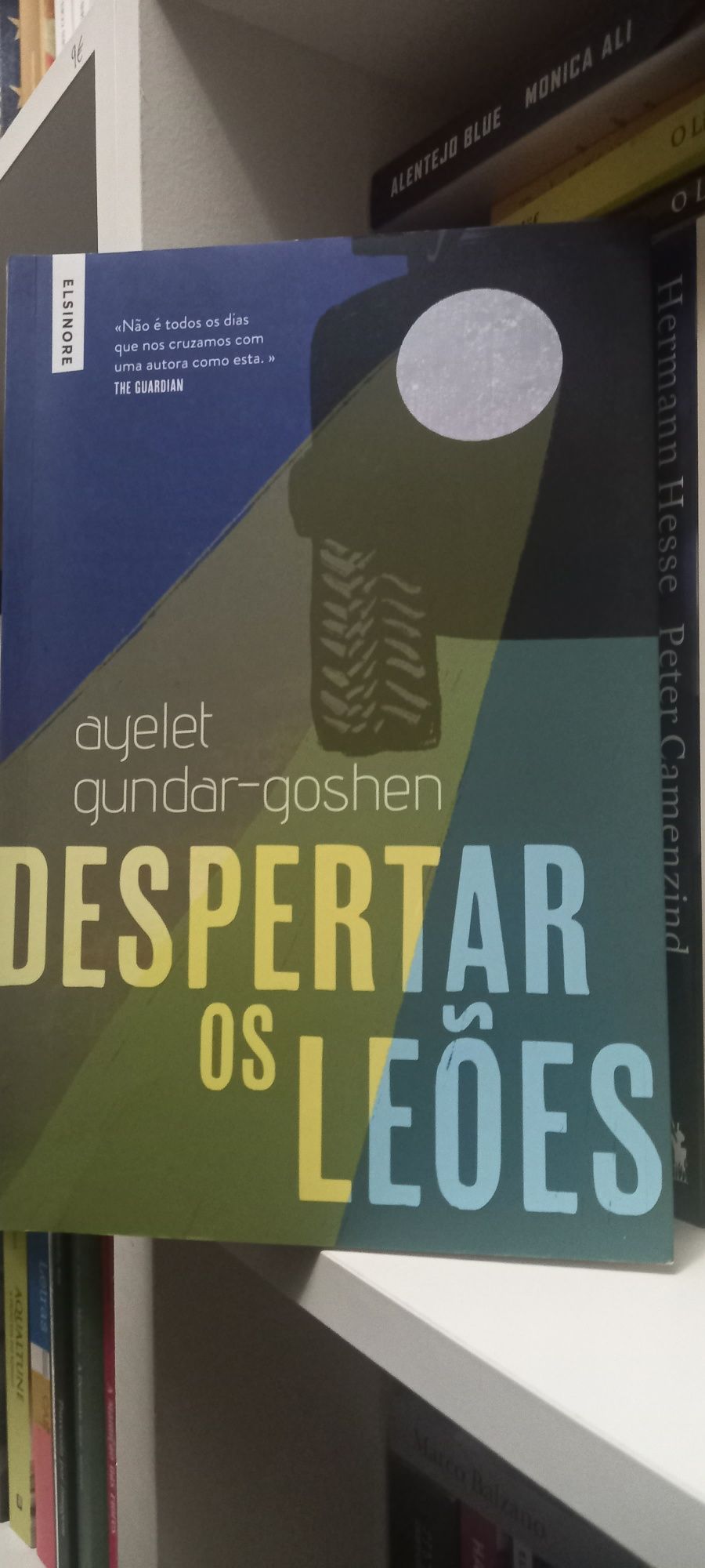 Despertar dos Leões