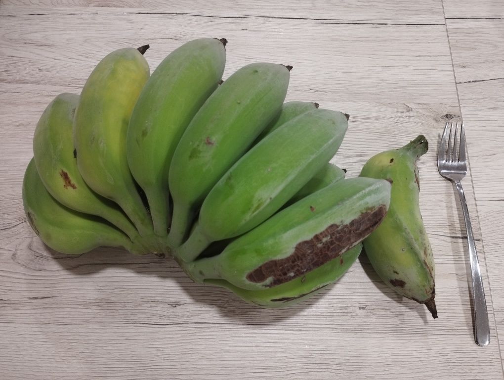 Mudas de Bananeira que dão grandes cachos de Bananas