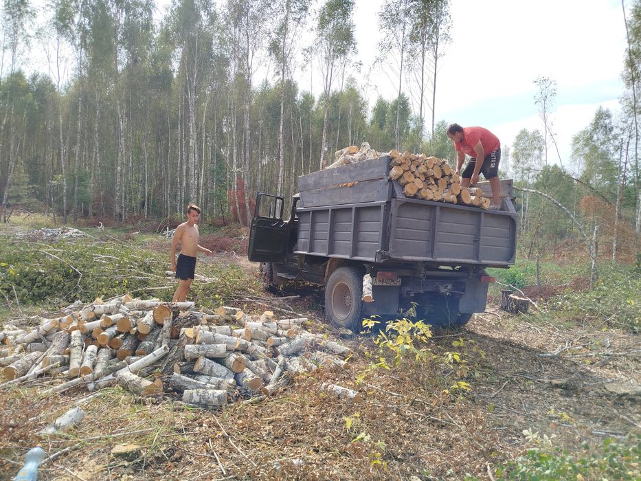 Продам дрова сосна та береза