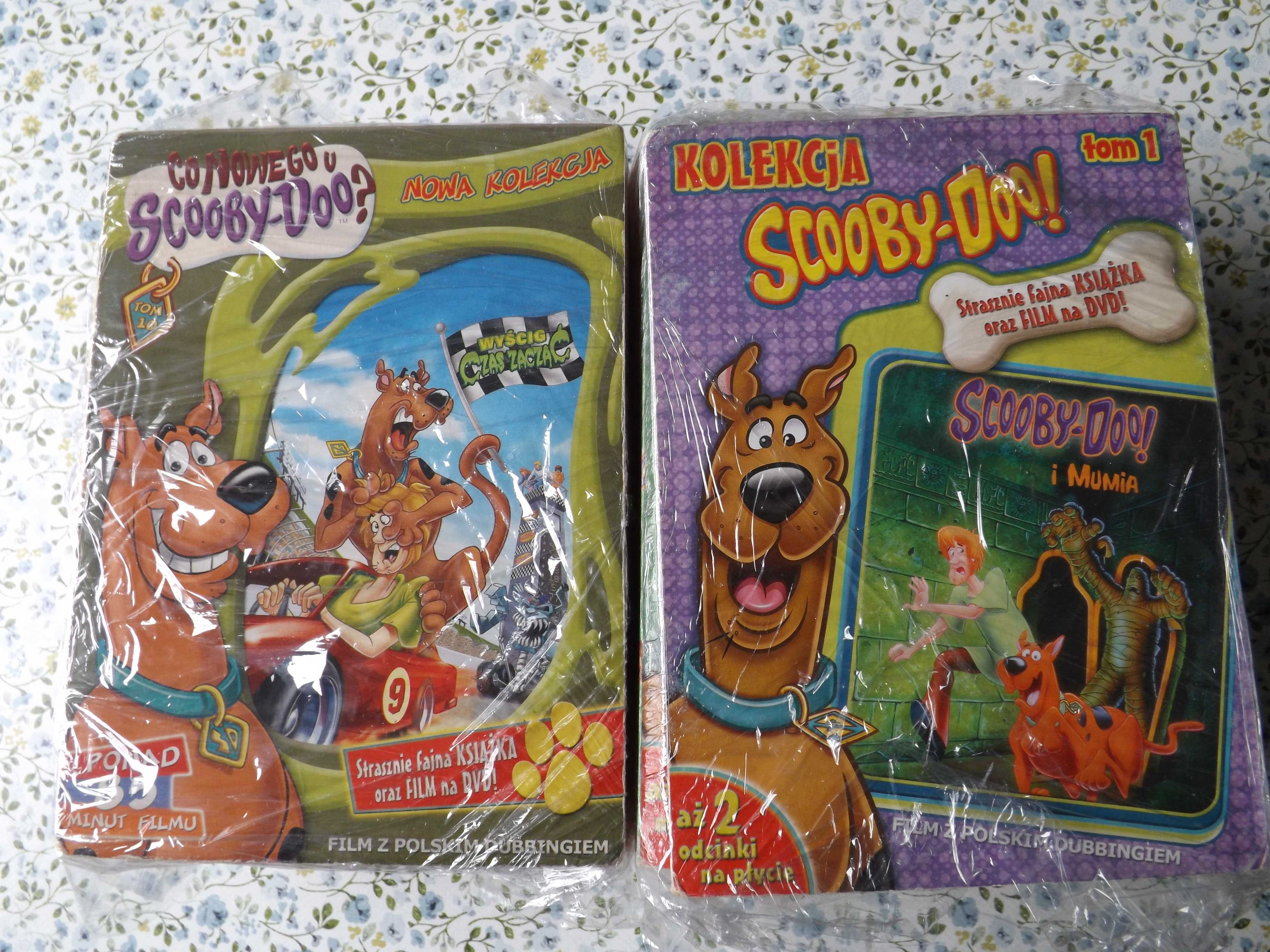 Szczeniak zwany Scooby Doo, zagadki, bracia Boo bajki dvd