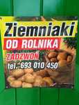 Sprzedam ziemniaki