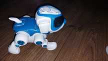Piesek teksta 360
