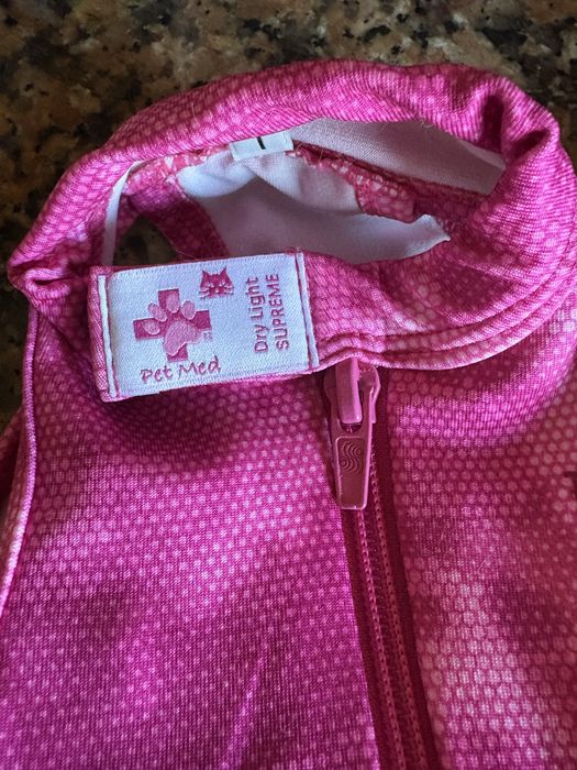 Body pos cirurgico gato T1