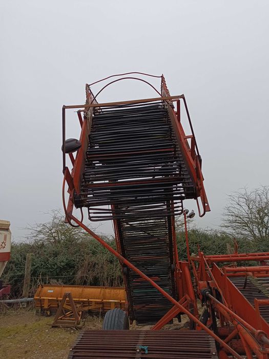 AMAC d2 zbieraczka kopaczka kombajn do zbierania cebuli zbioru warzyw