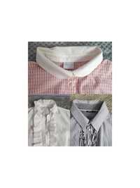 Koszulowe bluzki krótki rękaw bawełna 40-42  Bialcon, Senso, Street O.