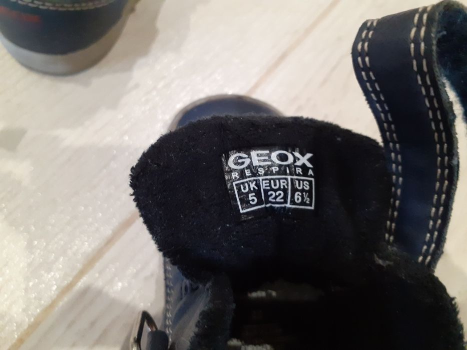 Димісезонні дитячі чоботи Geox  22