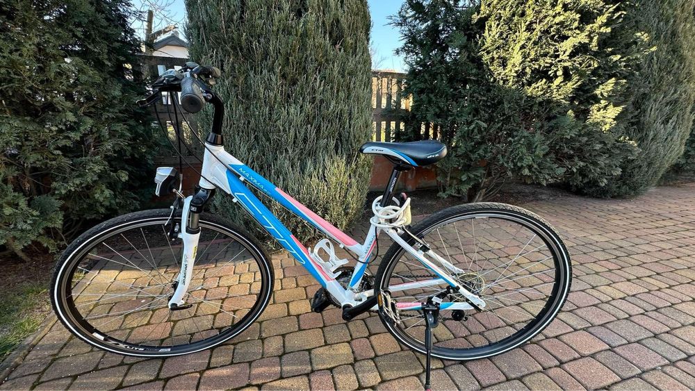 Rower CTM Maxima 2.0