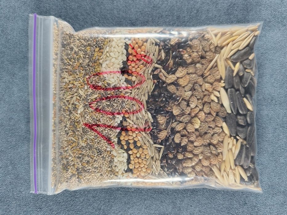 Зерновий корм для мурах 100гр. + Білковий корм(гамарус)