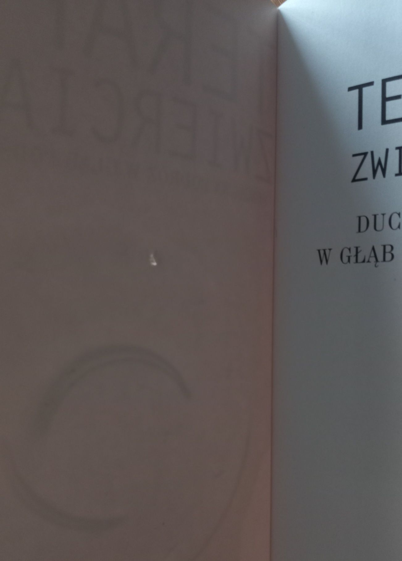 Książka "Terapia zwierciadła" autor Limor Zohar