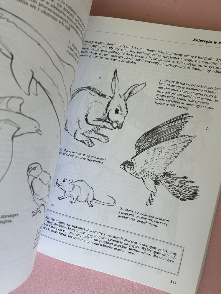Podstawy rysunku profesjonalny kurs nie tylko dla amatorów Delta