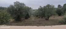 Terreno  para venda
