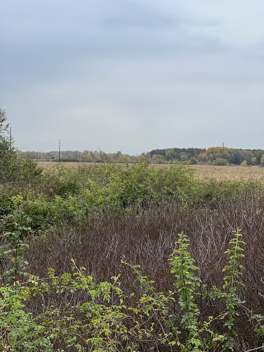 Продаються земельні ділянки