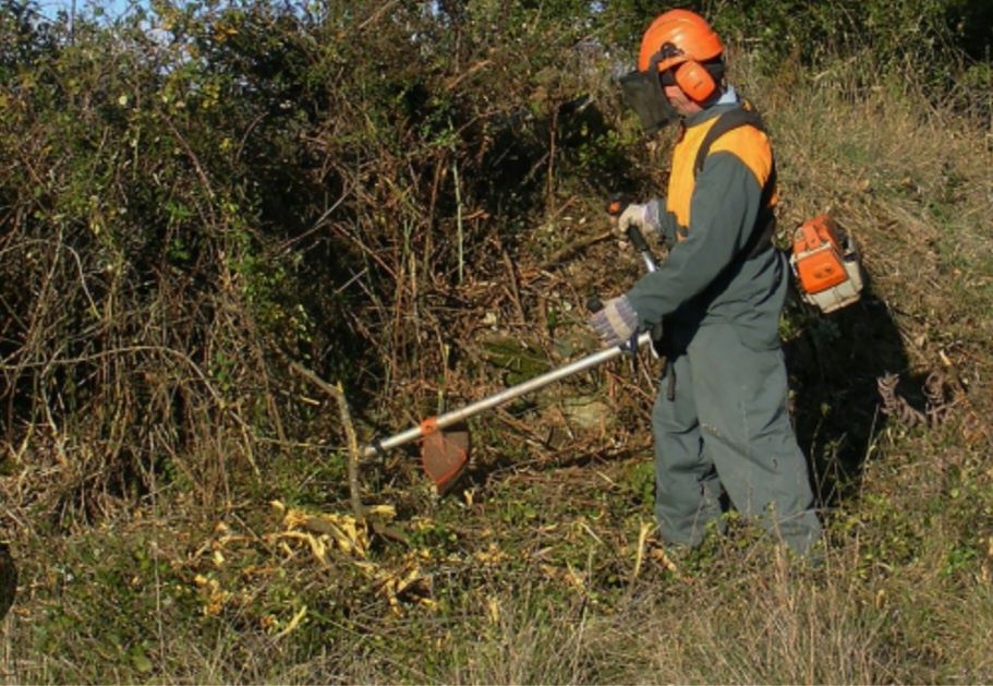 Recolha de entulho demolição de pequenas paredes 
Limpeza de trenos 
P