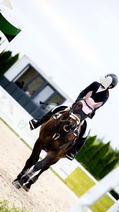 Prywatny kon do dzierzawy Bytom