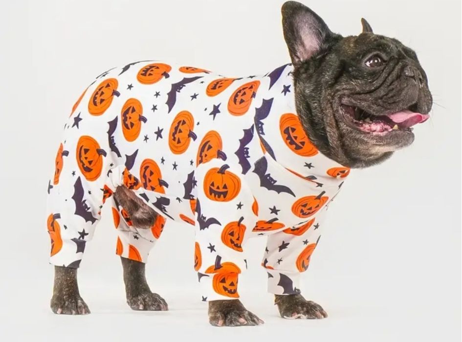 Піжама для собак