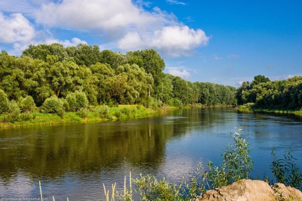 Продається будинок в Батурині