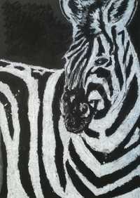 Obraz czarno-biały zebra 21x29,7cm A4