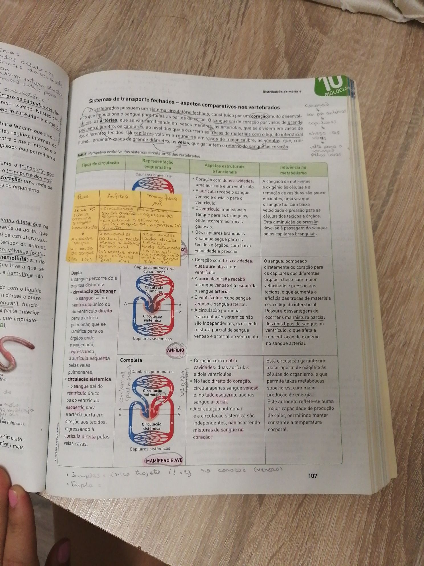 Exame biologia e geologia c/ portes  Porto editora (portes inclusos)