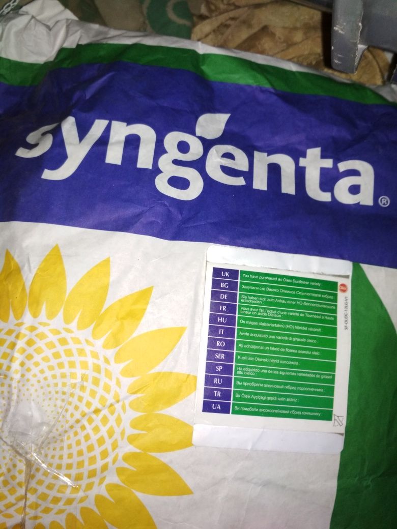 сингента syngenta семена подсолнуха подсолнечник соняшник