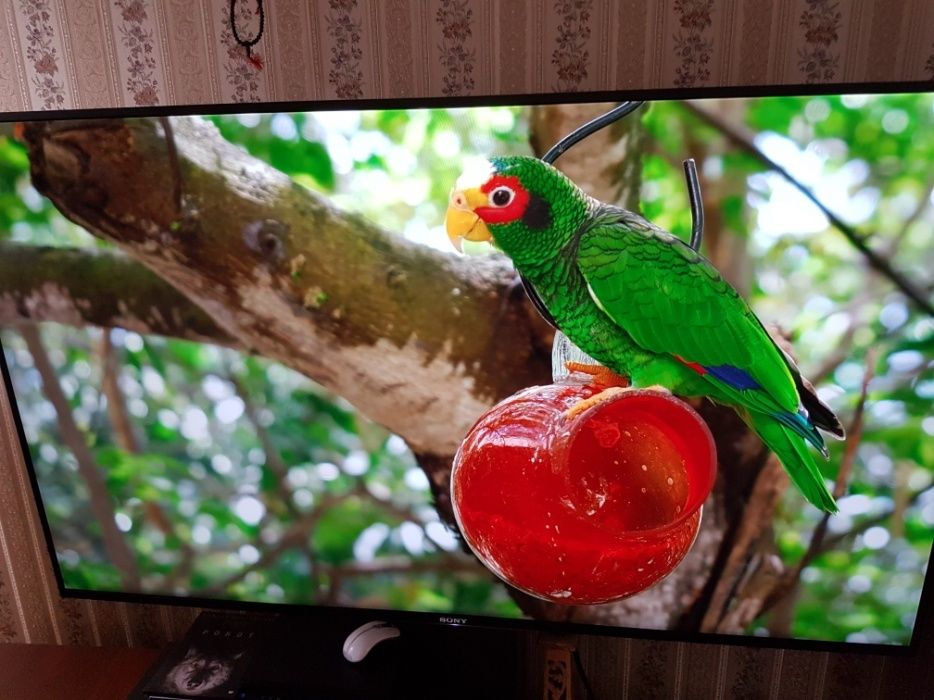 Telewizor 4K UHD 120Hz SONY KD-55XD8505 Android TV