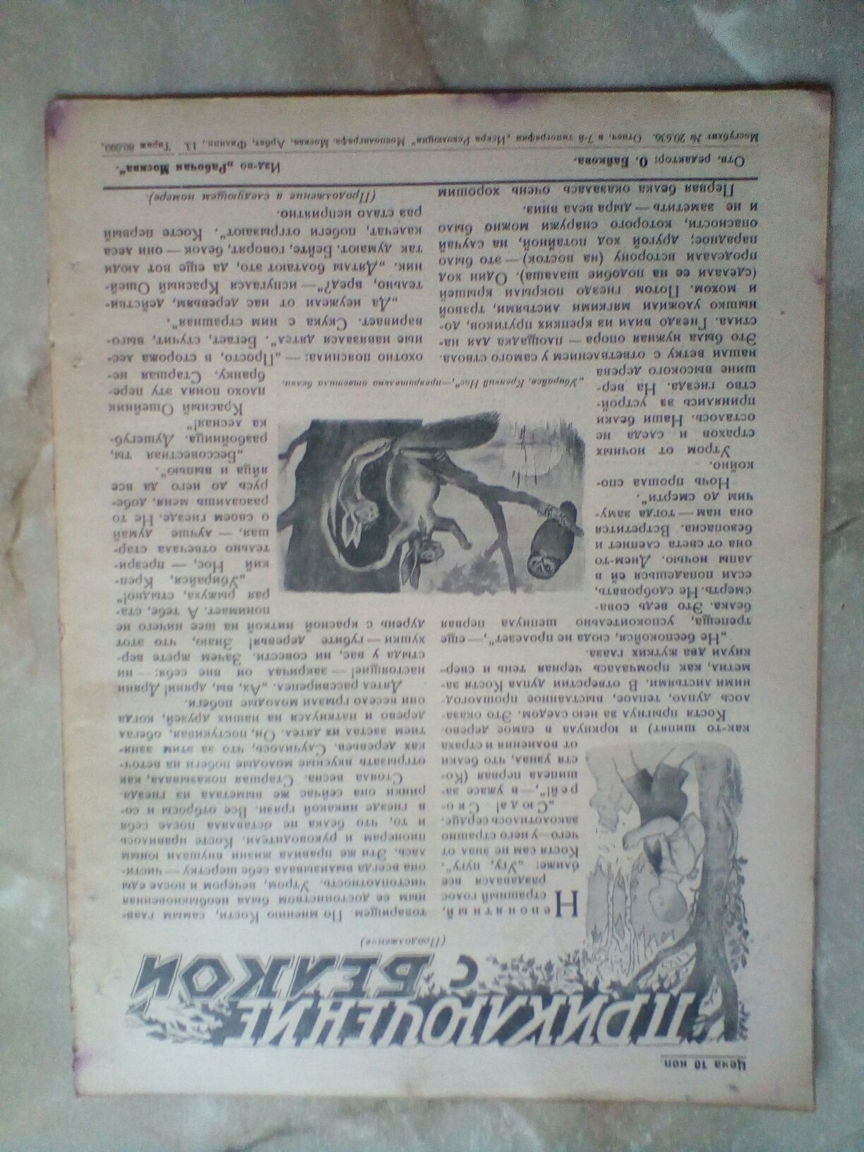 1928,Делегатка,журнал,состояние