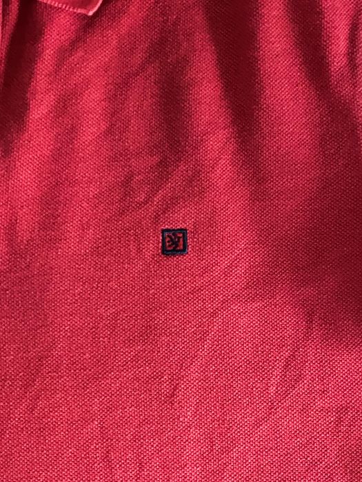 Polo Lion of Porches