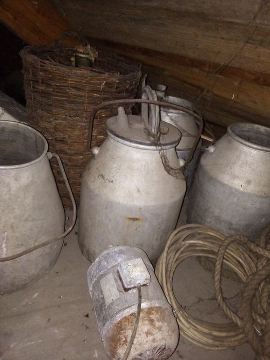 Бідони для доїня (ціна за 1 бідон)