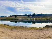 Quinta de 10,6 hectares com 6 ha de cerejeiral
