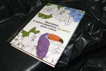Mandalas e Outros Desenhos da Selva para Colorir