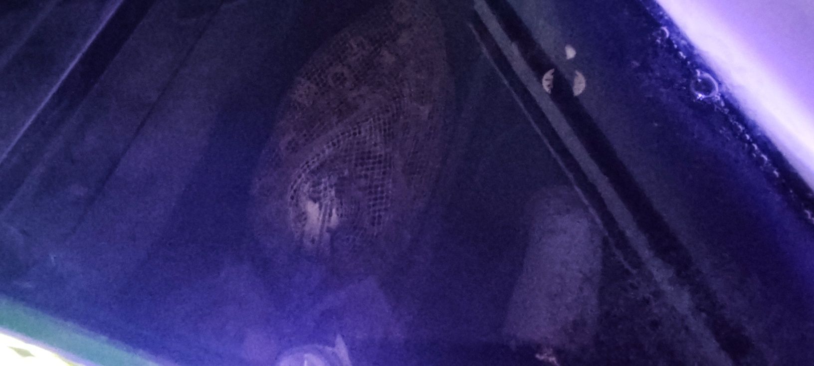 Pełen zestaw akwarystyczny Juwel Trigon