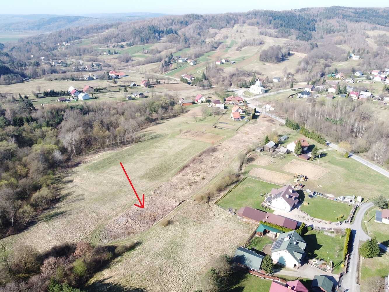 Sprzedam grunt rolny powierzchnia 2 ha Skopów