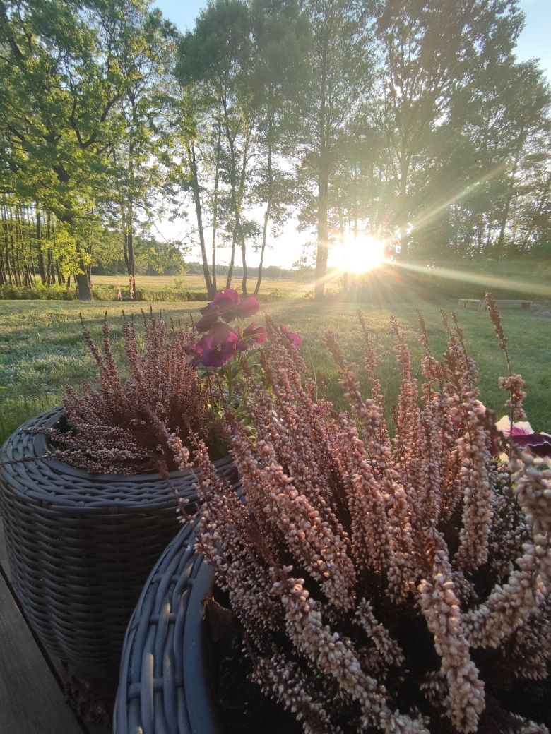 Dom 140 m2,  jacuzzi, rzeka, sauna, balia, mazowieckie, weekend