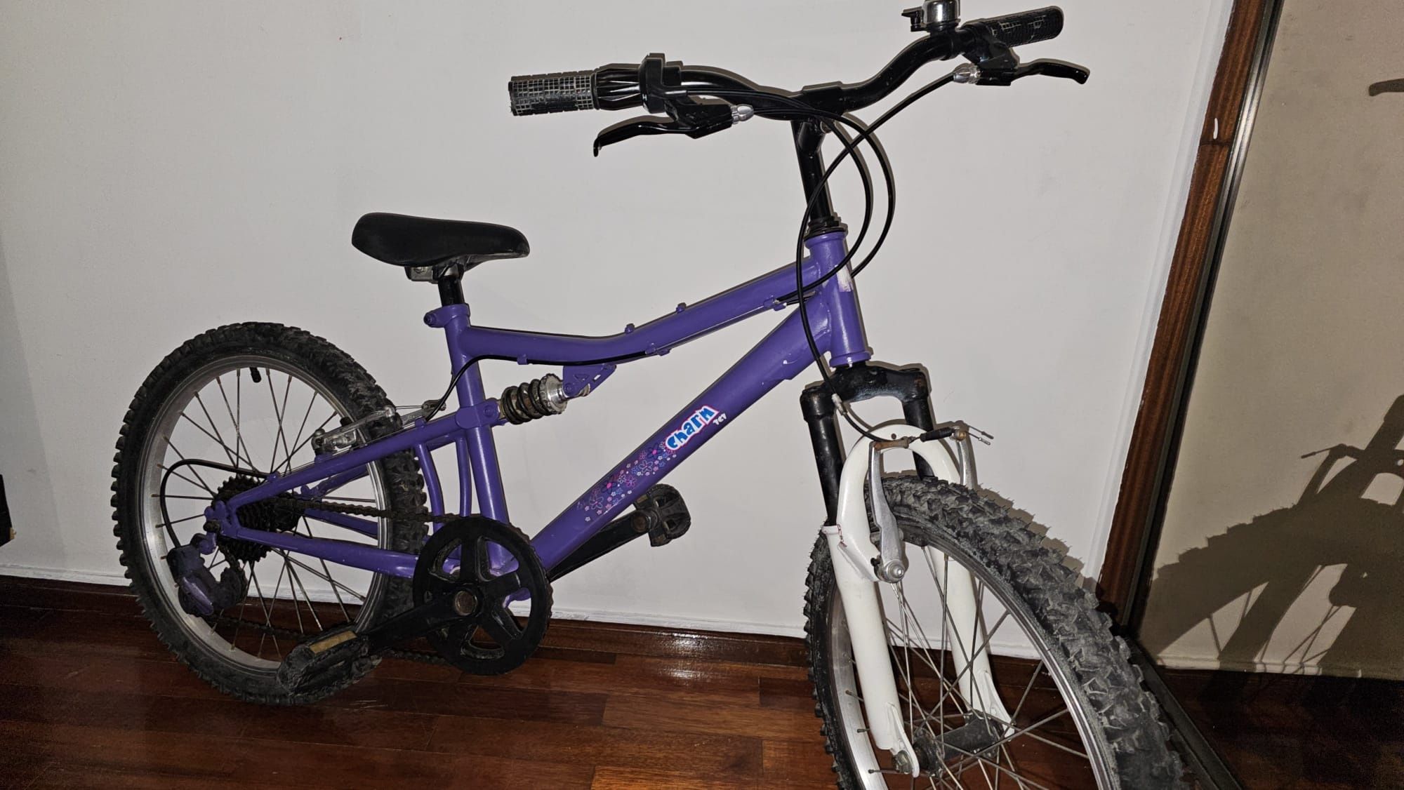 Bicicleta menina