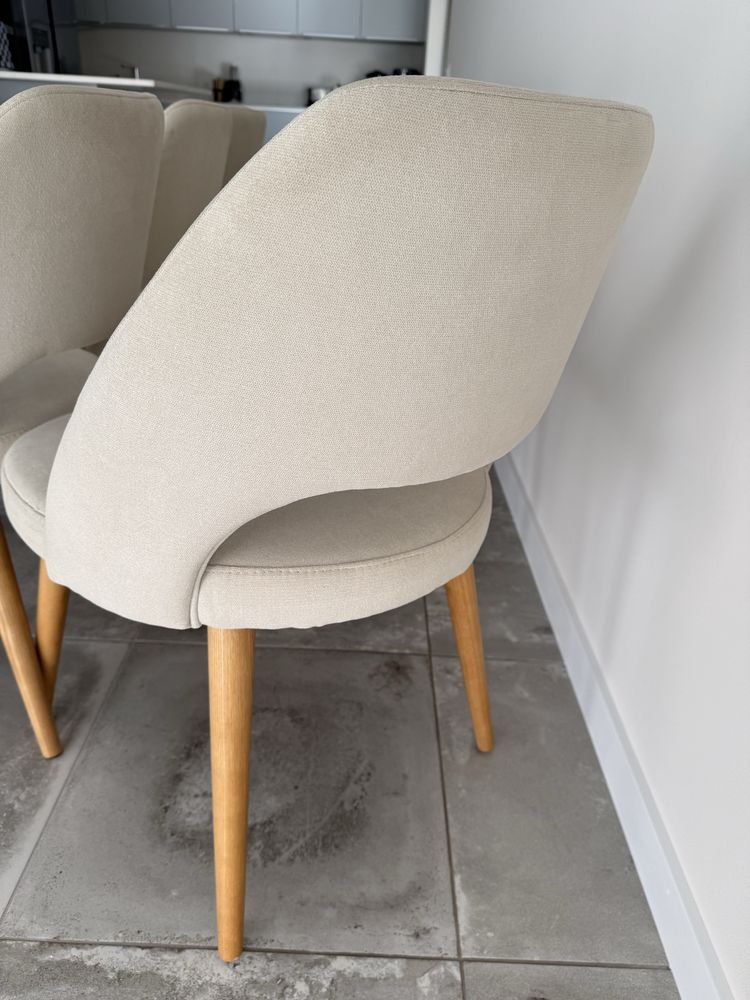Conjunto de 8 Cadeiras Modernas