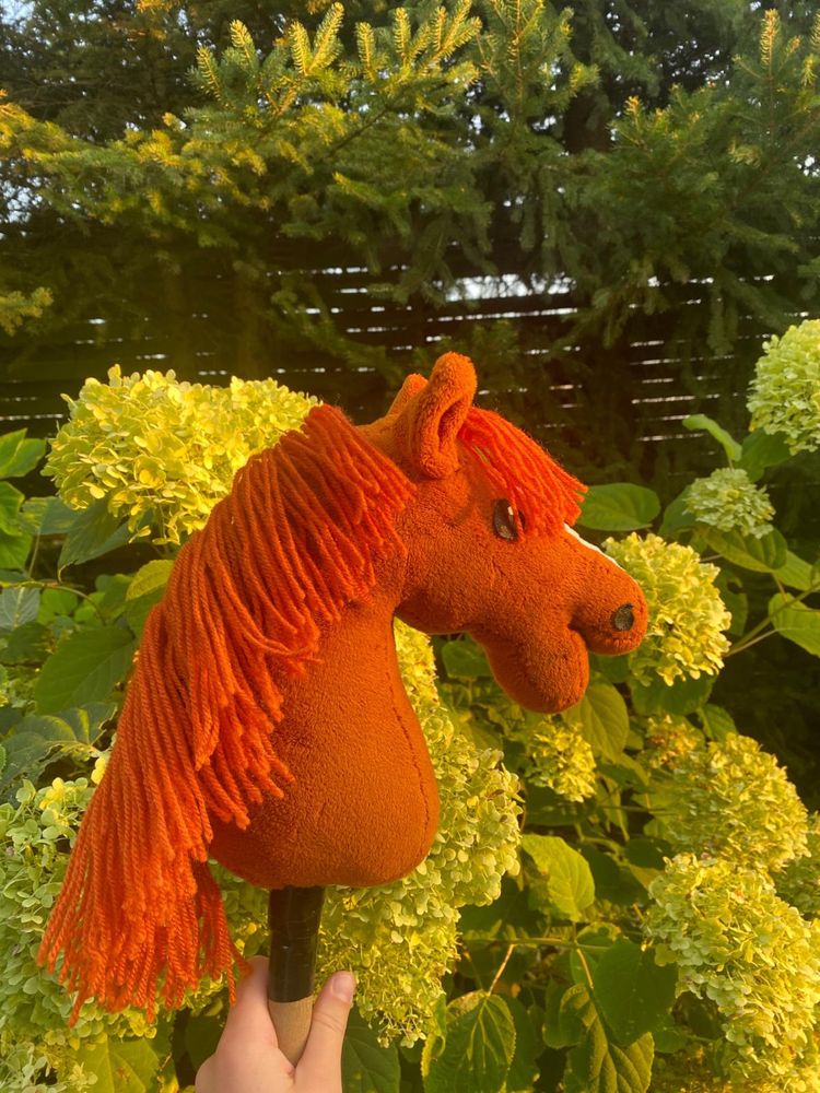 Hobby horse kasztan A4