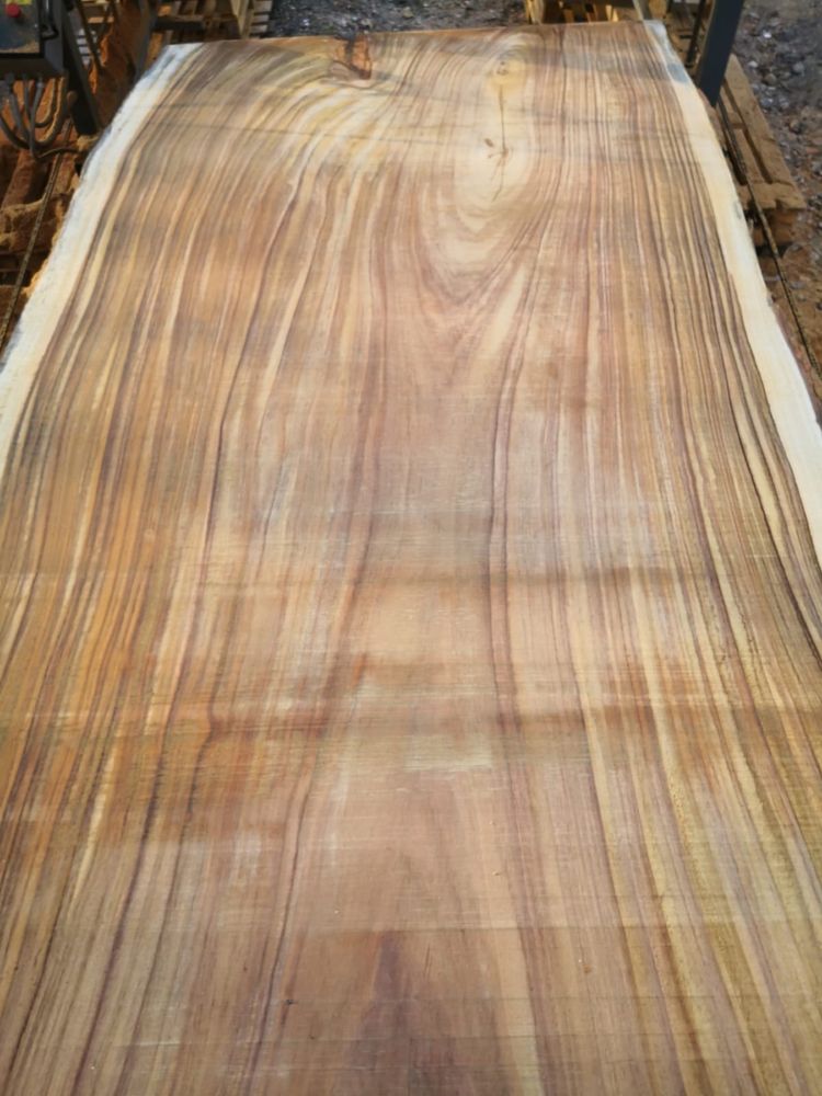 Drewno egzotyczne Parota , foszty deski monolity nie suar orzech dąb