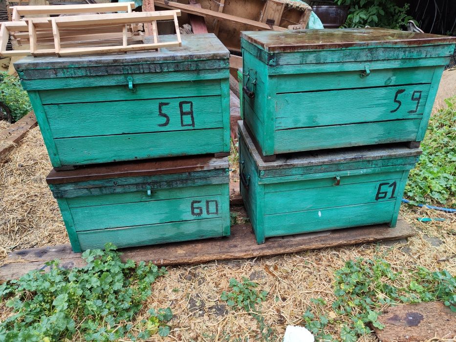 Улья лежаки в хорошем состоянии