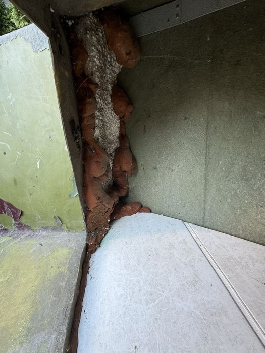 Човен гребний, ідеальний стан