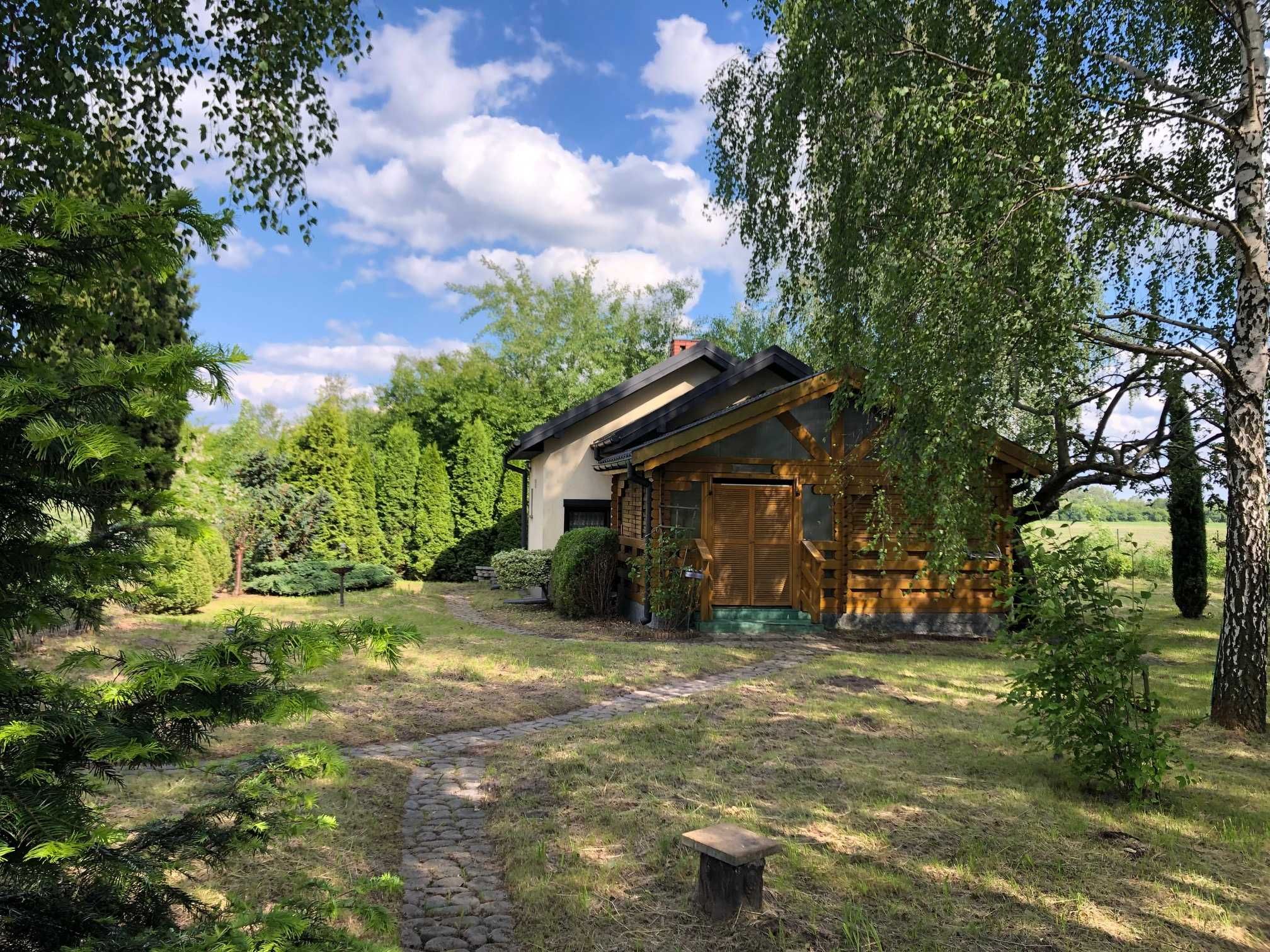 Domek z zadaszonym tarasem, działką, ogrodem oraz laskiem brzozowym.