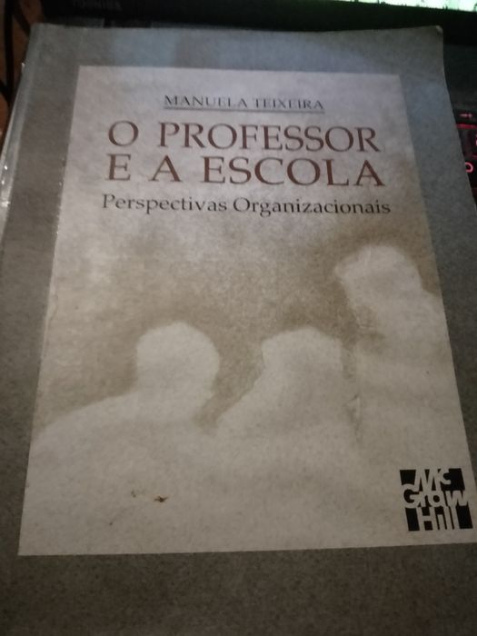 O Pintor Roquemont-J.Brandao-1e17E-O professor e a escola-MT-15Desde2E